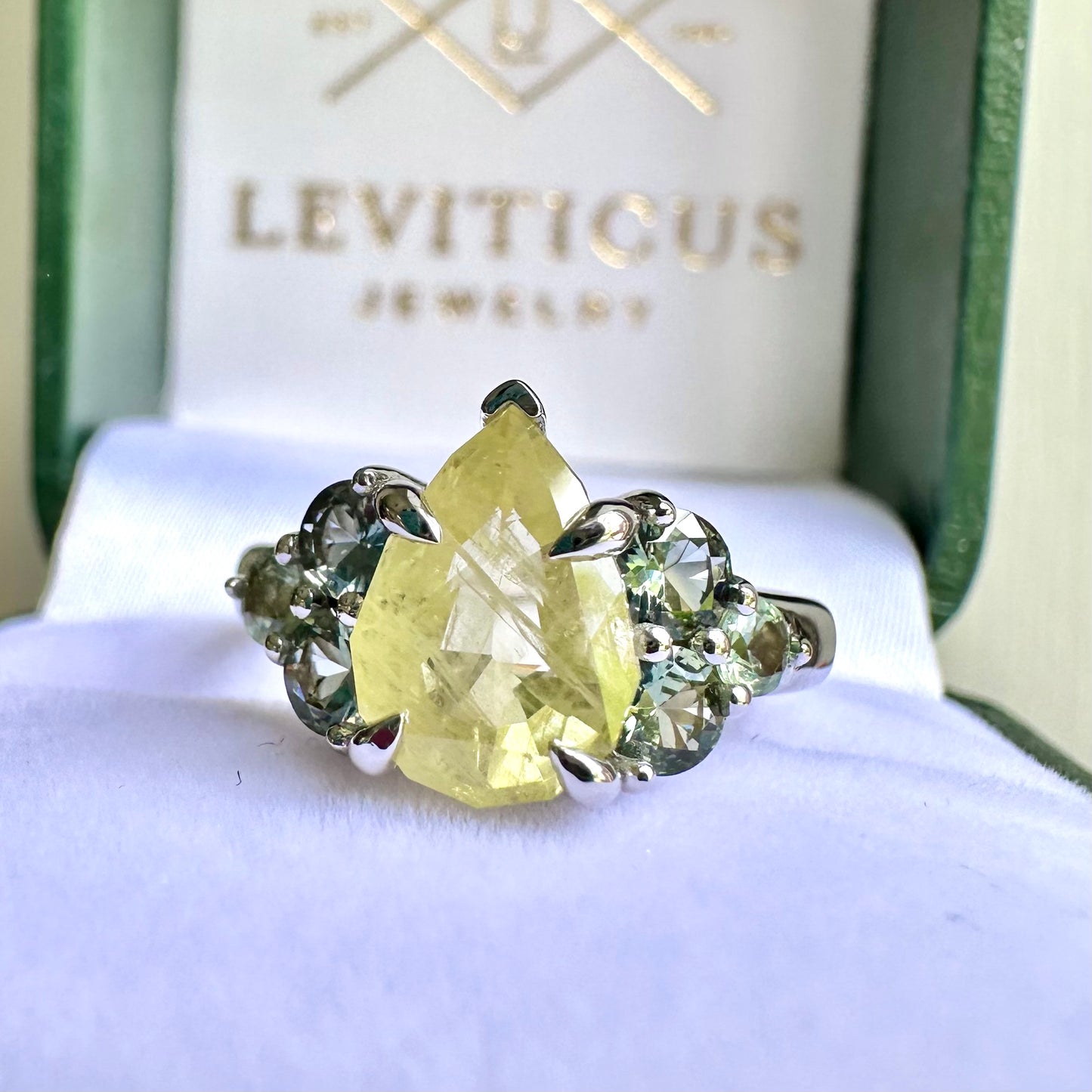 Canary Cluster Ring