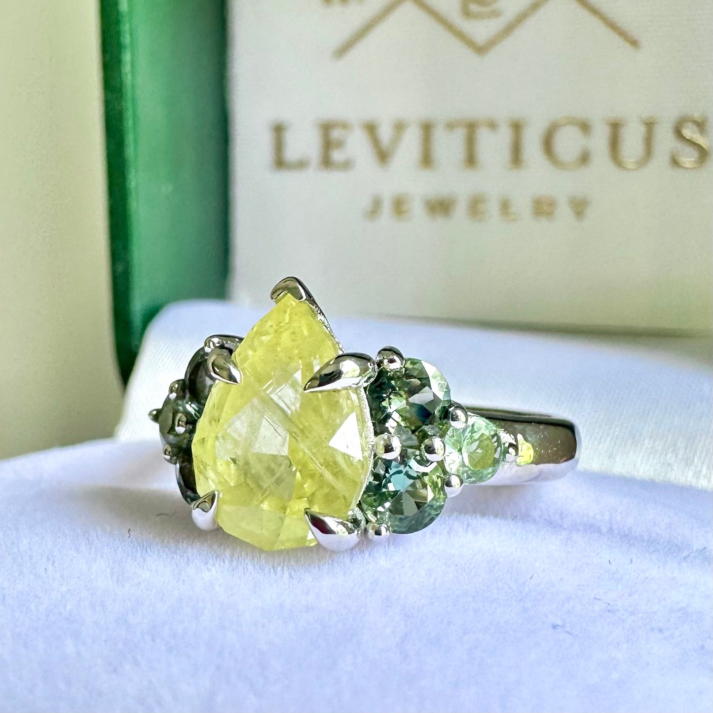 Canary Cluster Ring